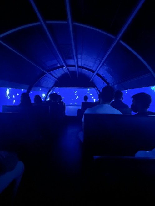 FLAMENCOS ECOPARQUE PARQUE